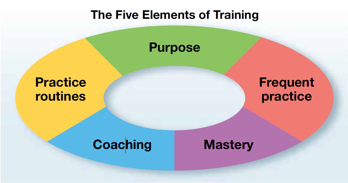 Five elements of training